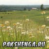 pakshenga_2011_22_ 